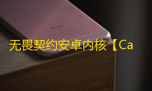 无畏契约安卓内核【Caston】外挂